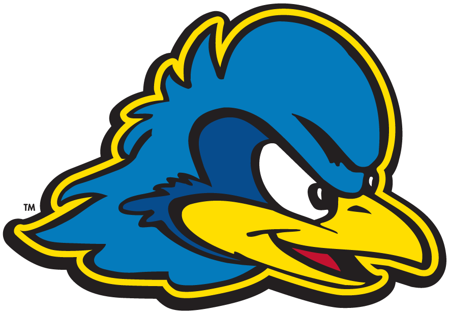 Delaware Blue Hens 2009-Pres Secondary Logo v2 diy fabric transfer